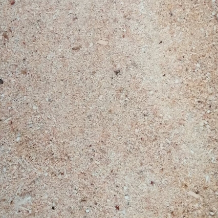 Image déchet